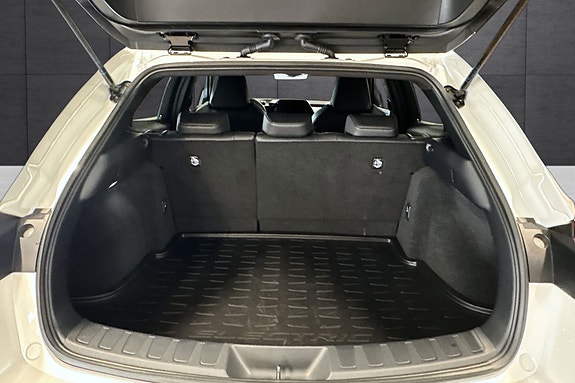 Lexus UX300e 18 of 30