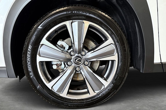 Lexus UX300e 20 of 30