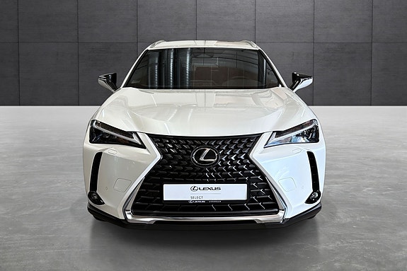 Lexus UX300e 8 of 30