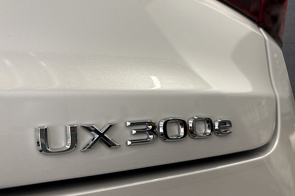 Lexus UX300e 21 of 30