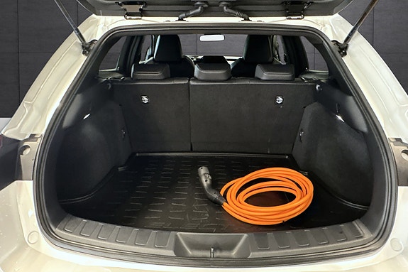 Lexus UX300e 19 of 30