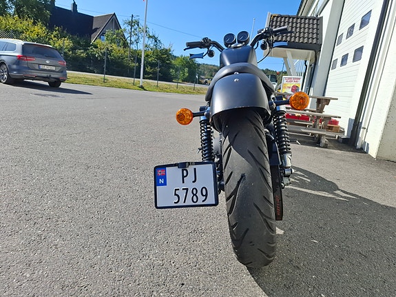 Harley-Davidson XL 883N Sportster 16 of 18