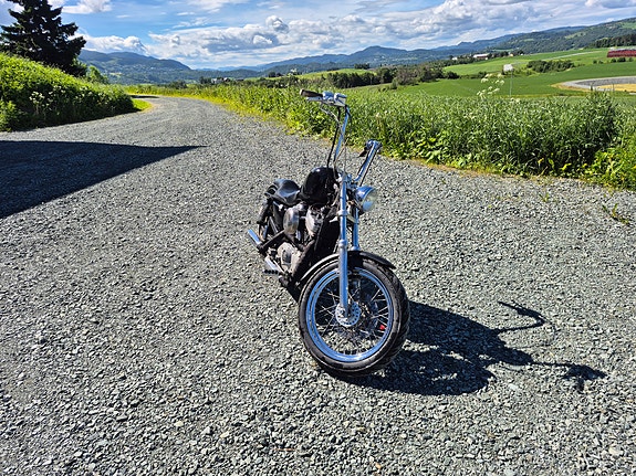 Harley-Davidson XL 883 Sportster 2 of 6