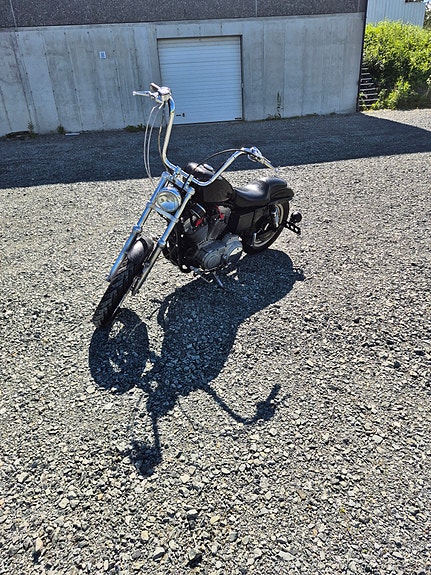 Harley-Davidson XL 883 Sportster 5 of 6