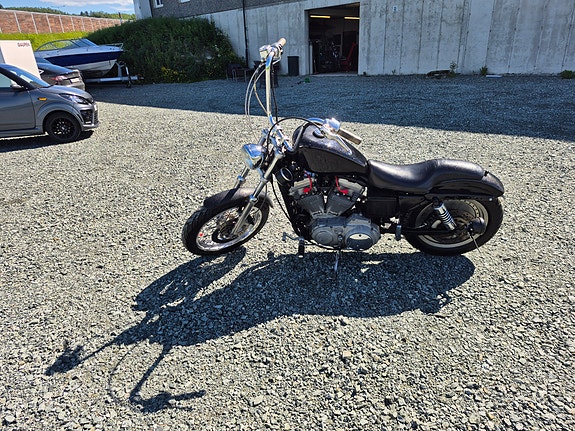 Harley-Davidson XL 883 Sportster 6 of 6