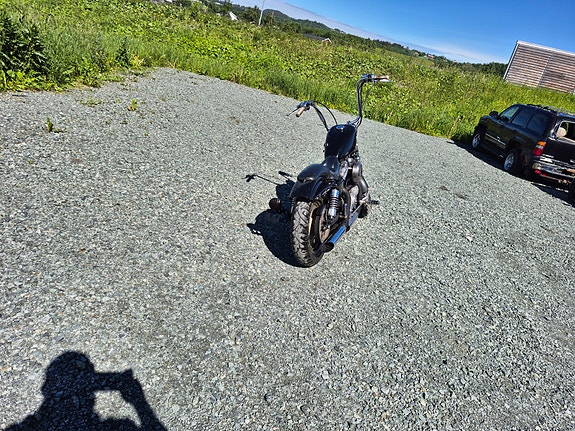 Harley-Davidson XL 883 Sportster 3 of 6
