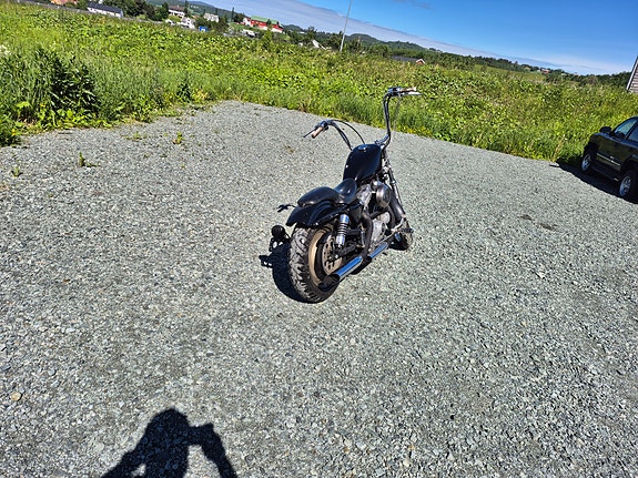 Harley-Davidson XL 883 Sportster 4 of 6
