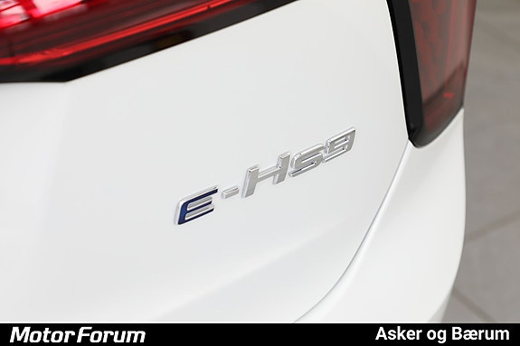 Hongqi E-HS9 5 of 29