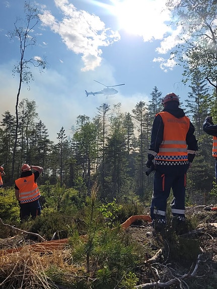 Du vil samarbeide tett med andre fagmiljø og bidra aktivt til å vidareutvikle vår evne til å verne sivilbefolkninga i fred, krise og krig.