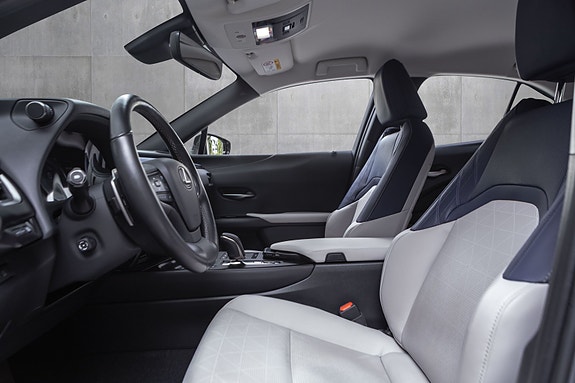 Lexus UX300e 20 of 28