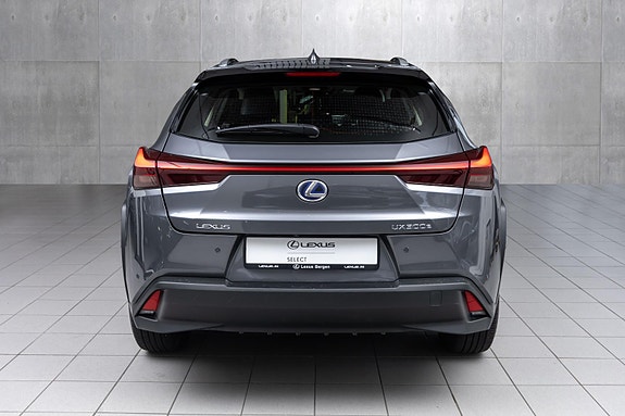 Lexus UX300e 5 of 28