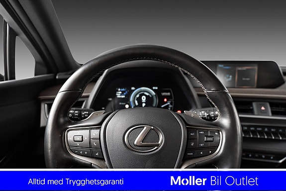 Lexus UX300e 9 of 18