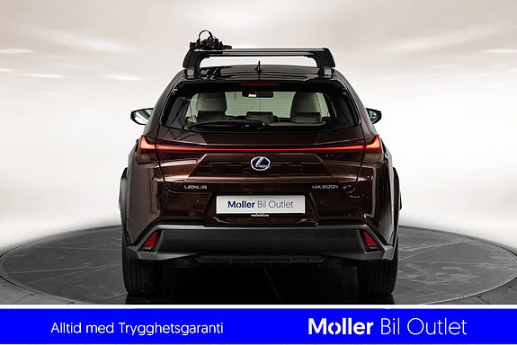 Lexus UX300e 6 of 18