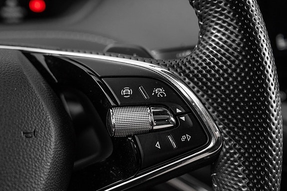 Skoda Enyaq 19 of 30