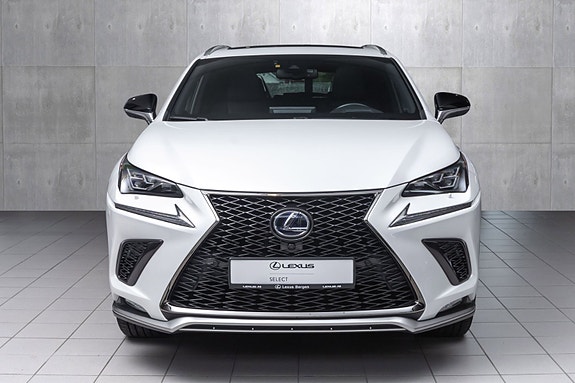 Lexus NX300h 9 of 30