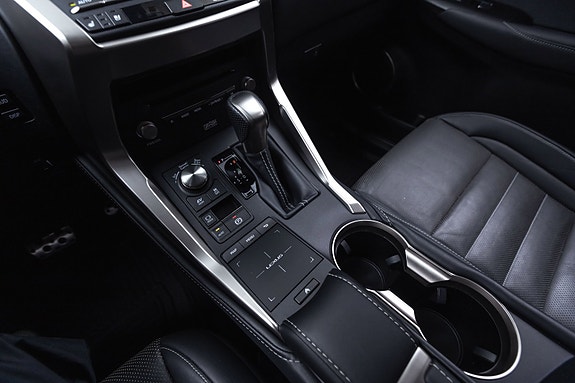Lexus NX300h 19 of 30