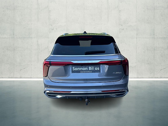 Hongqi E-HS9 6 of 30