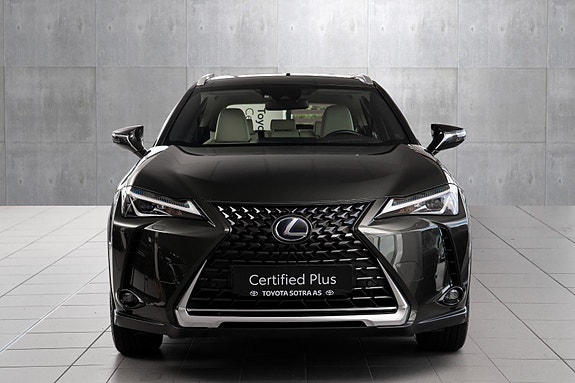 Lexus UX300e 9 of 24