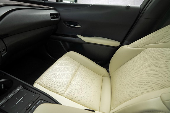 Lexus UX300e 12 of 24