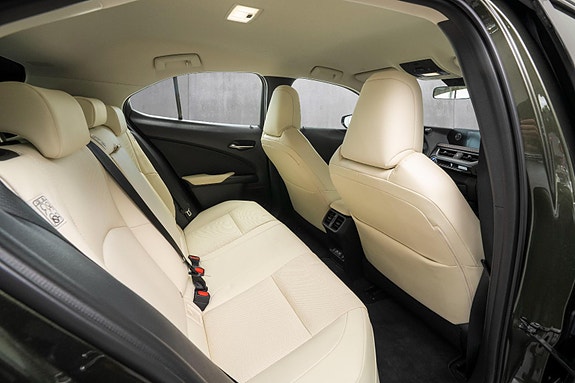 Lexus UX300e 21 of 24