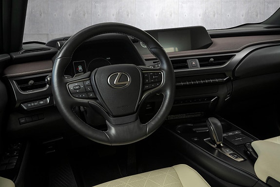 Lexus UX300e 19 of 24