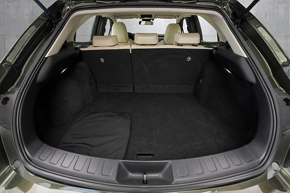 Lexus UX300e 20 of 24