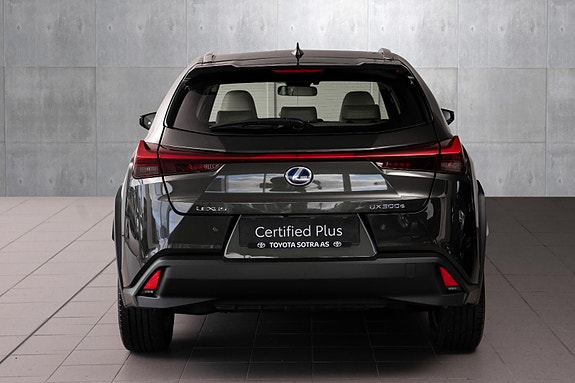 Lexus UX300e 5 of 24