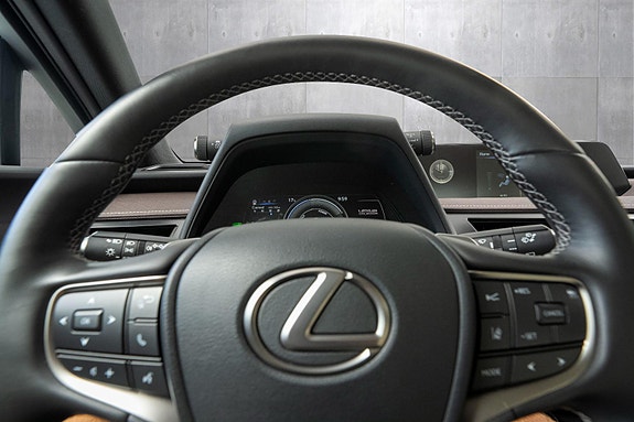 Lexus UX300e 14 of 24