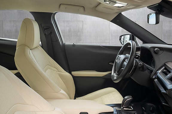 Lexus UX300e 23 of 24