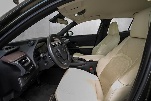 Lexus UX300e 17 of 24
