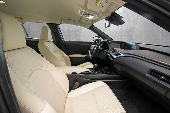 Lexus UX300e 22 of 24