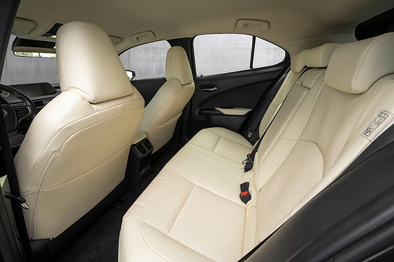 Lexus UX300e 18 of 24