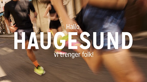 Bilde 1 av 1 i jobbannonse-galleriet