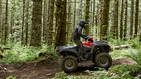 Yamaha Grizzly 700 EPS 5 of 7
