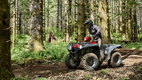 Yamaha Grizzly 700 EPS 6 of 7
