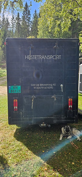 Renault Master T35 4 of 19