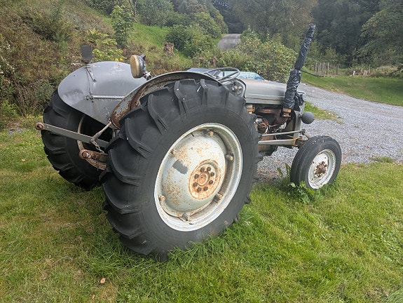 Massey Ferguson Gråtass diesel 11 of 13