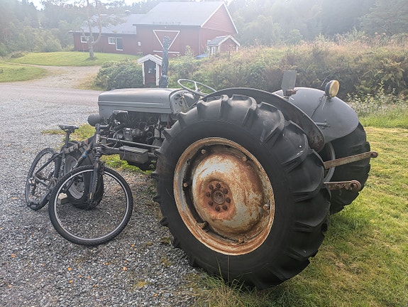 Massey Ferguson Gråtass diesel 13 of 13