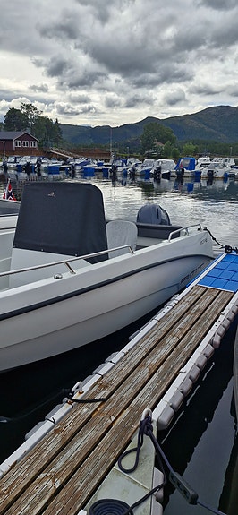 AMT 190 R 2021 | Yamaha 115 hk | 164 timer | Garmin | Vinterlagret inne 5 of 23