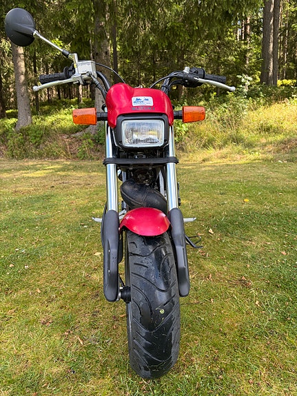 Suzuki TR 50 S Street Magic 5 of 10