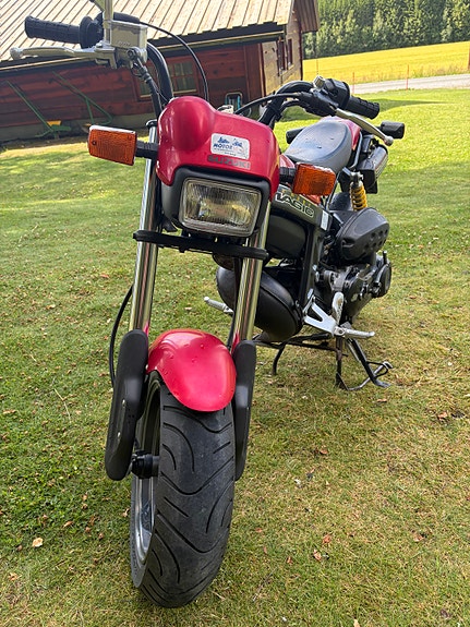 Suzuki TR 50 S Street Magic 2 of 10