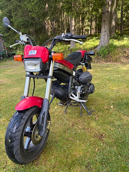 Suzuki TR 50 S Street Magic 8 of 10