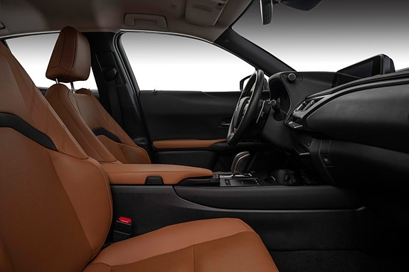 Lexus UX300e 26 of 29