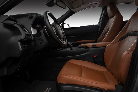 Lexus UX300e 18 of 29