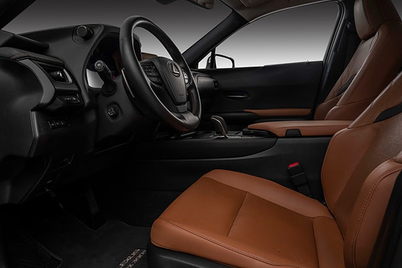 Lexus UX300e 19 of 29