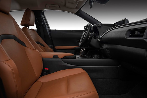 Lexus UX300e 25 of 29