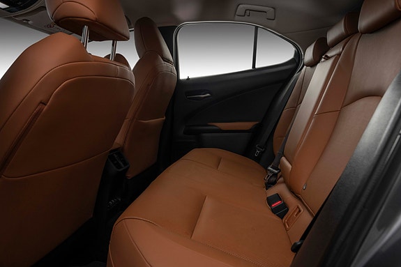 Lexus UX300e 21 of 29