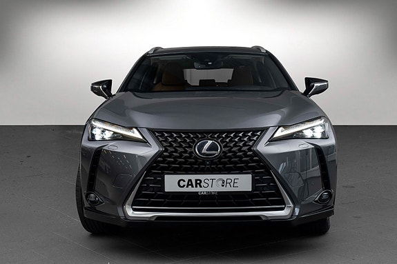 Lexus UX300e 3 of 29