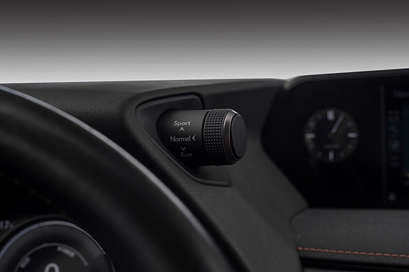 Lexus UX300e 17 of 29