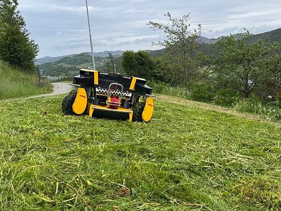 Spider 2SGS EFI skråningsklipper 15 of 15